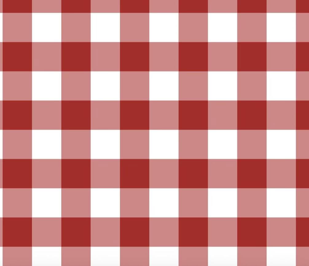 Gingham Picnic Dress