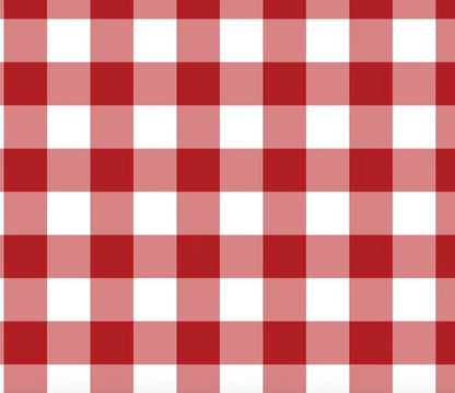 Gingham Picnic Dress